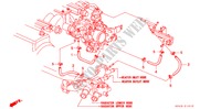 WATERSLANG(V6) voor Honda ACCORD V6 LX 4 deuren 4-traps automatische versnellingsbak 1995