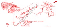 WATERSLANG(SOHC) voor Honda CIVIC AERODECK 1.4I 5 deuren 5-versnellings handgeschakelde versnellingsbak 1999