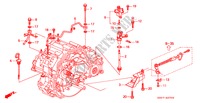 OLIEPEILMETER voor Honda PRELUDE VT 2 deuren 4-traps automatische versnellingsbak 2000