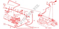 SLANGEN(L4)(1) voor Honda ACCORD COUPE 2.0IES 2 deuren 4-traps automatische versnellingsbak 2002