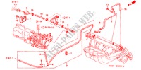 SLANGEN(L4)(2) voor Honda ACCORD COUPE 2.0IES 2 deuren 5-versnellings handgeschakelde versnellingsbak 2000