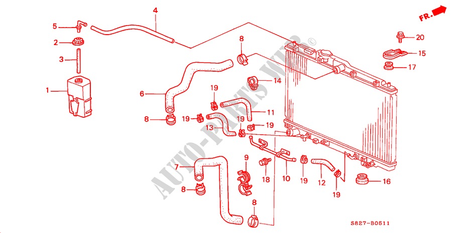 RADIATOR SLANG(V6) voor Honda ACCORD COUPE 3.0IV6 2 deuren 4-traps automatische versnellingsbak 2000