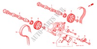 NOKKENAS/ONTSTEKINGSRIEM(V6) voor Honda ACCORD 3.0IV6 4 deuren 4-traps automatische versnellingsbak 2001
