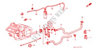 WATERKLEP/SLANG voor Honda PRELUDE EX 2 deuren 4-traps automatische versnellingsbak 1984
