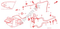 WATERKLEP/SLANG voor Honda PRELUDE 2.0SI 2 deuren 4-traps automatische versnellingsbak 1987