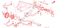 WATERPOMP/THERMOSTAAT (CARBURATEUR) voor Honda ACCORD LX 1600 4 deuren 4-traps automatische versnellingsbak 1988