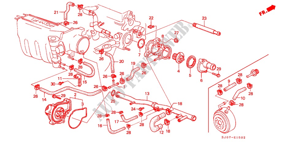 WATERPOMP/THERMOSTAAT (PGM FI,DOHC) voor Honda ACCORD 2.0I-16 4 deuren 5-versnellings handgeschakelde versnellingsbak 1988
