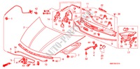 MOTORKAP(RH) voor Honda CIVIC 1.8 TYPE S 3 deuren intelligente transmissie IMT 2007