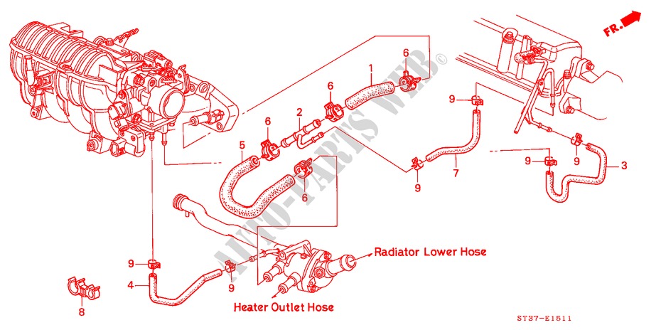 WATERSLANG(SOHC) ('97) voor Honda CIVIC 1.6IES 5 deuren 4-traps automatische versnellingsbak 1997