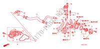 WATERPOMP(V6) voor Honda ACCORD V6 EX 2 deuren 5-traps automatische versnellingsbak 2011