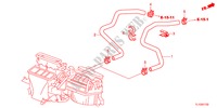 WATERSLANG(2.4L)(LH) voor Honda ACCORD 2.4 S 4 deuren 5-traps automatische versnellingsbak 2012