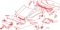 MOTORKAP(LH) voor Honda CITY LX-A 4 deuren 5-traps automatische versnellingsbak 2011