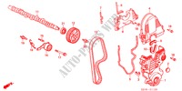 NOKKENAS/ONTSTEKINGSRIEM voor Honda HR-V 4WD 3 deuren CVT versnellingsbak 2000