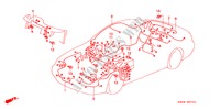 BEDRADINGSBUNDEL(RH) voor Honda PRELUDE SI 2 deuren 4-traps automatische versnellingsbak 1999