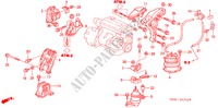 MOTOR BEVESTIGINGEN(L4) (AT) (2) voor Honda ACCORD 2.0VTI       CARIB 4 deuren 4-traps automatische versnellingsbak 2001