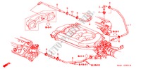 ONTLUCHTSLANG(V6) voor Honda ACCORD 3.0SIR   SINGAPORE 4 deuren 4-traps automatische versnellingsbak 2000