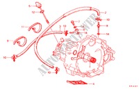 OLIEKOELSLANG/ OLIEZEEF voor Honda PRELUDE EX 2 deuren 4-traps automatische versnellingsbak 1983