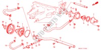 WATERPOMP/THERMOSTAAT (CARBURATEUR) voor Honda ACCORD STD 3 deuren 5-versnellings handgeschakelde versnellingsbak 1989