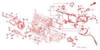 MOTOR BEDRADINGSBUNDEL/ KLEM voor Honda CIVIC DX 1200 3 deuren 4-traps automatische versnellingsbak 1988