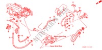 WATERSLANG(2) voor Honda CIVIC 1.6SI 4 deuren 5-versnellings handgeschakelde versnellingsbak 1993