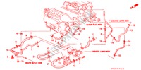 WATERSLANG(3) voor Honda INTEGRA GS-R 4 deuren 4-traps automatische versnellingsbak 2001