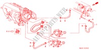 WATERSLANG(3) voor Honda CIVIC EXI-S 4 deuren 5-versnellings handgeschakelde versnellingsbak 2000