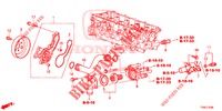 WATERPOMP/THERMOSTAAT (1.4L) voor Honda CIVIC 1.4 EXECUTIVE TUNER LESS 5 deuren 6-versnellings handgeschakelde versnellingsbak 2014