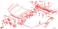 KAP (LH) voor Honda ACCORD DIESEL 2.2 COMFORT 4 deuren 6-versnellings handgeschakelde versnellingsbak 2012