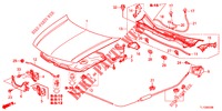 KAP (LH) voor Honda ACCORD DIESEL 2.2 COMFORT 4 deuren 5-traps automatische versnellingsbak 2012