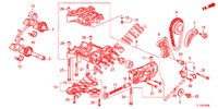 OLIEPOMP (DIESEL) voor Honda ACCORD DIESEL 2.2 ELEGANCE 4 deuren 6-versnellings handgeschakelde versnellingsbak 2012