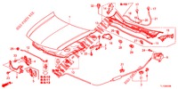 KAP (LH) voor Honda ACCORD DIESEL 2.2 EXECUTIVE H 4 deuren 6-versnellings handgeschakelde versnellingsbak 2012