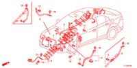 BEDRADINGSBUNDEL (1) (LH) voor Honda ACCORD DIESEL 2.2 ELEGANCE 4 deuren 5-traps automatische versnellingsbak 2012