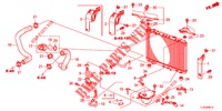 RADIATOR SLANG/RESERVETANK (DIESEL) voor Honda ACCORD TOURER DIESEL 2.2 LUXURY 5 deuren 6-versnellings handgeschakelde versnellingsbak 2013