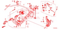 VOOR KNOKKEL  voor Honda CR-V 2.0 ELEGANCE L 5 deuren 5-traps automatische versnellingsbak 2013