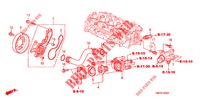 WATERPOMP/THERMOSTAAT  voor Honda INSIGHT 1.3 IMA COMFORT 5 deuren CVT versnellingsbak 2010