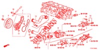 WATERPOMP/THERMOSTAAT  voor Honda JAZZ 1.4 LUXURY 5 deuren 5-versnellings handgeschakelde versnellingsbak 2012