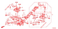 WISSELHENDEL (DIESEL) voor Honda CIVIC DIESEL 1.6 LIFSTYLE 5 deuren 6-versnellings handgeschakelde versnellingsbak 2014