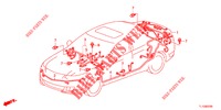 BEDRADINGSBUNDEL (2) (RH) voor Honda ACCORD DIESEL 2.2 EX 4 deuren 5-traps automatische versnellingsbak 2012