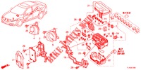 BEDIENINGSEENNEID (COMPARTIMENT MOTEUR) (1) voor Honda ACCORD 2.2 EXECUTIVE 4 deuren 5-traps automatische versnellingsbak 2012