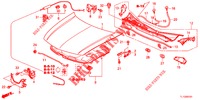 KAP (RH) voor Honda ACCORD DIESEL 2.2 S 4 deuren 6-versnellings handgeschakelde versnellingsbak 2012