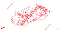 BEDRADINGSBUNDEL (2) (RH) voor Honda ACCORD DIESEL 2.2 S 4 deuren 5-traps automatische versnellingsbak 2012
