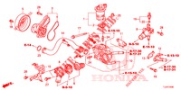 WATERPOMP/THERMOSTAAT (2.0L) voor Honda ACCORD TOURER 2.0 S 5 deuren 5-traps automatische versnellingsbak 2015