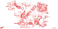 WATERPOMP/THERMOSTAAT (DIESEL) voor Honda CIVIC DIESEL 1.6 EXGT 5 deuren 6-versnellings handgeschakelde versnellingsbak 2014